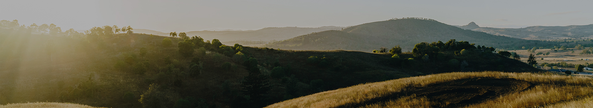 Southern Queensland Landscape